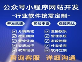 嘉峪关网站开发